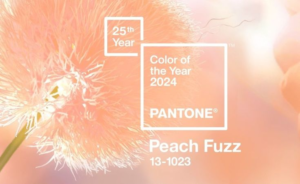 Màu sắc năm 2024 là Peach Fuzz