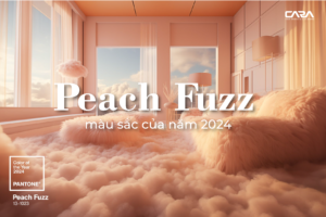 Peach-Fuzz-mau-sac-cua-nam-2024